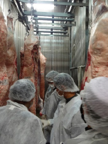 Halal certification for slaughterhouses
